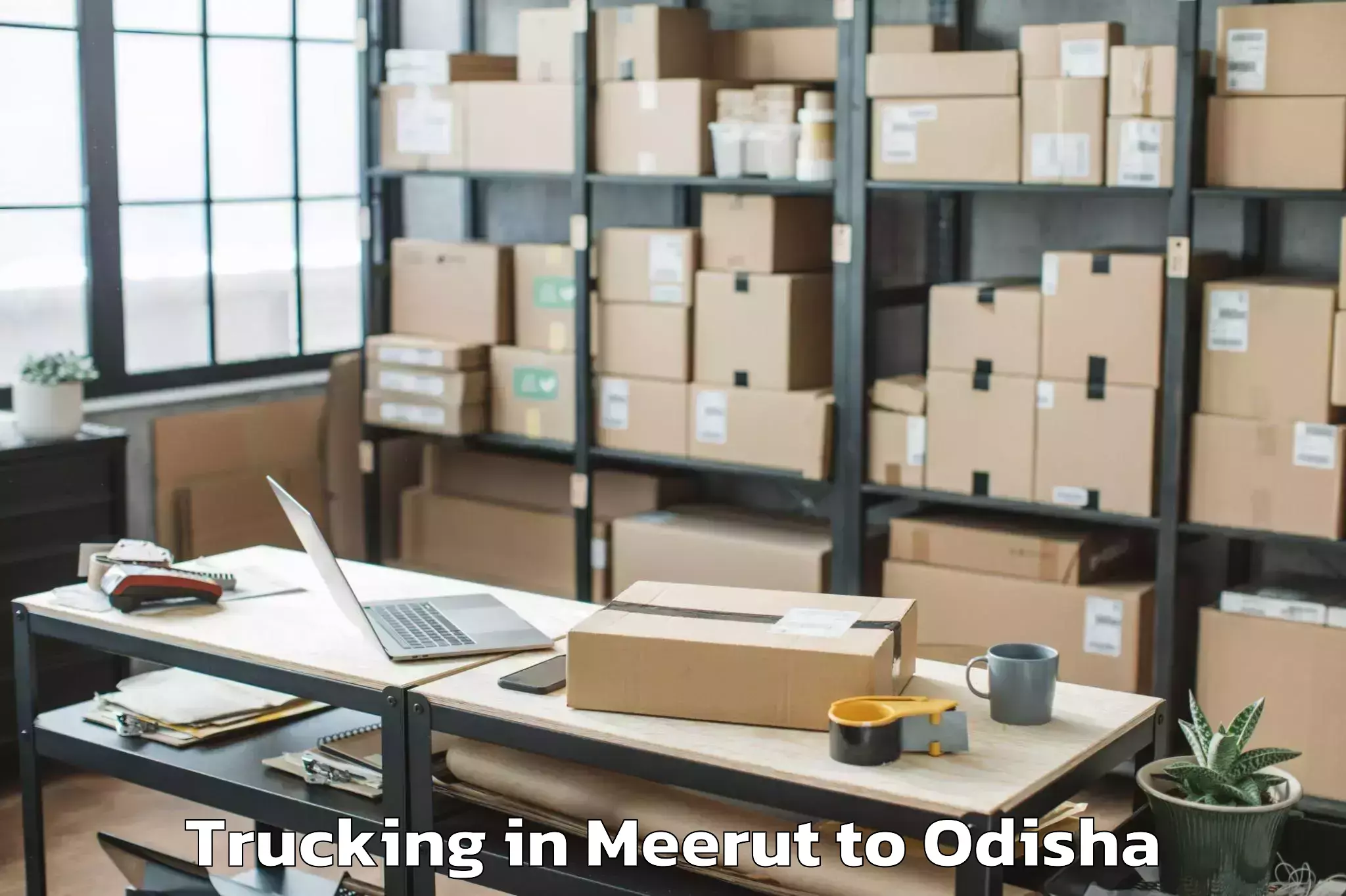 Leading Meerut to Athagad Trucking Provider